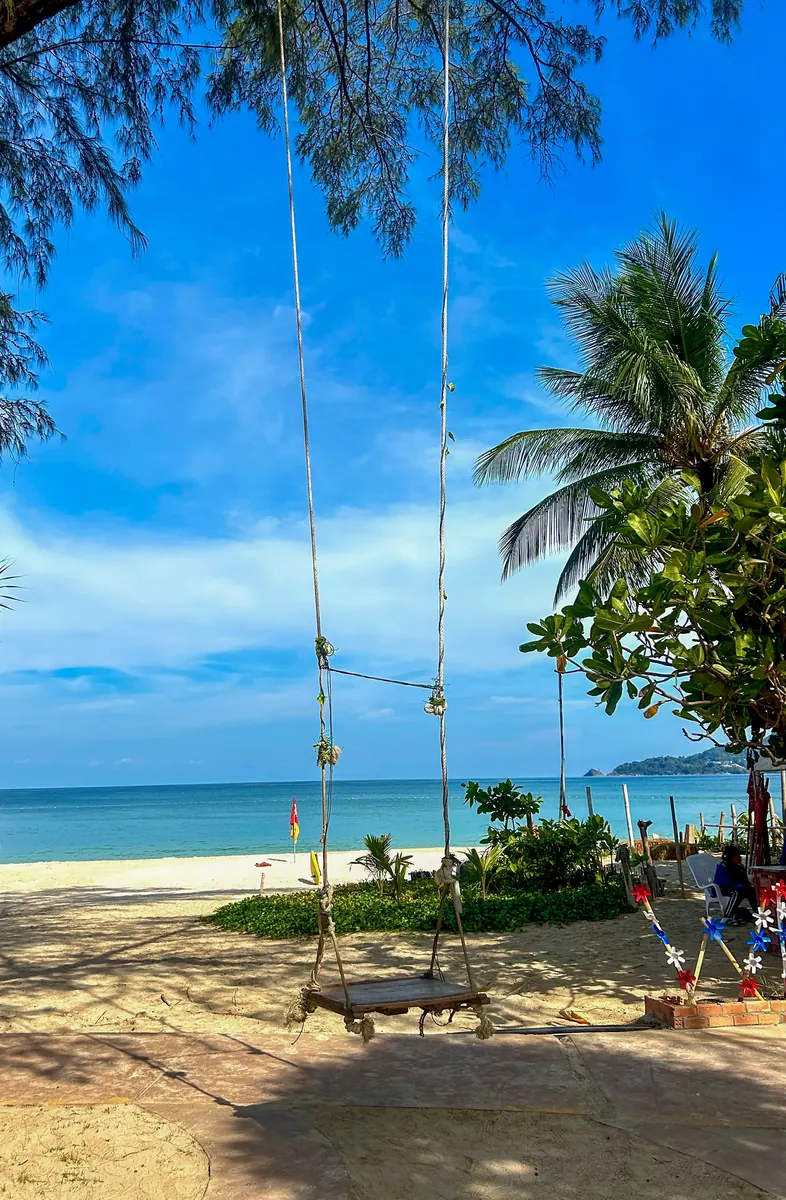 A wooden swing hanging from a pine tree on Patong Beach, with turquoise sea and palm trees