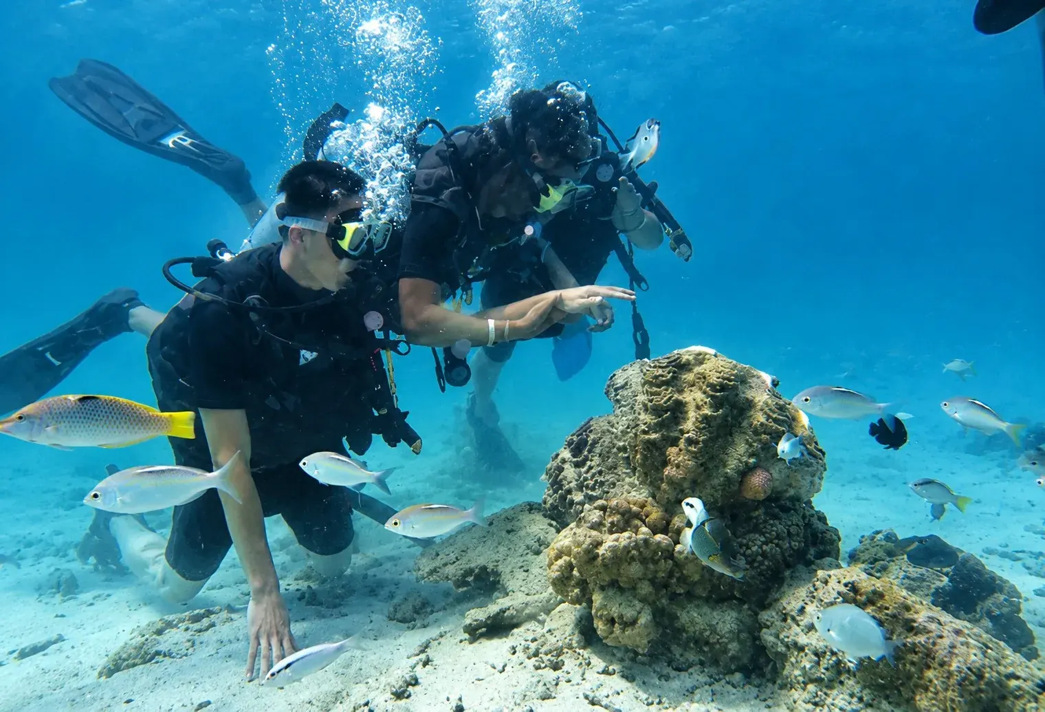 Discover scuba diving tour from Phuket