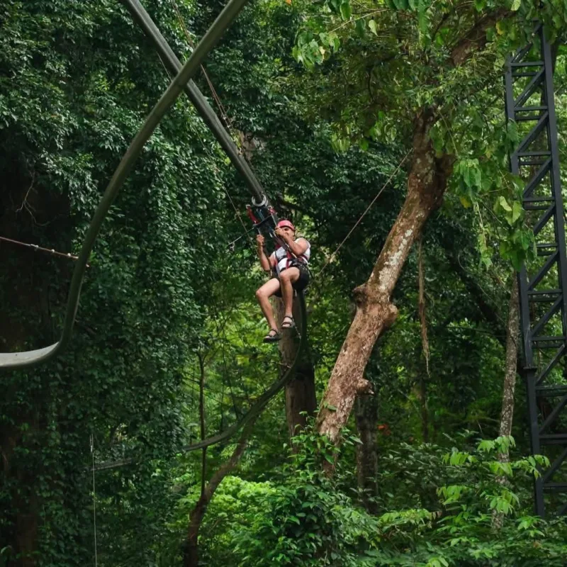 A rider ziplining through lush green jungle at a Phuket adventure park